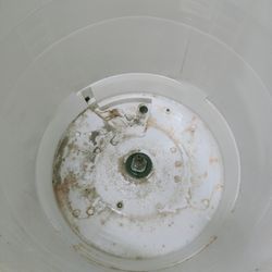 洗濯機、半年間のリアルな汚れです。の画像3