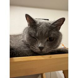 春の訪れとともに｜この冬もありがとうございましたの画像2