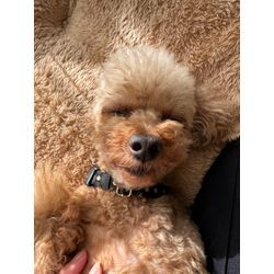 春の訪れとともに｜この冬もありがとうございましたの画像1