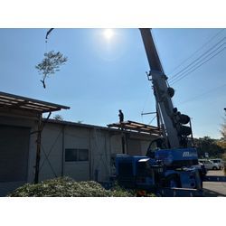 千葉県流山市伐採作業の画像1