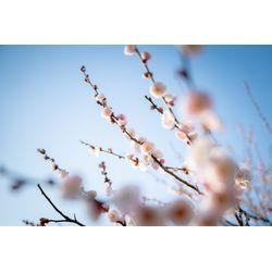 【2026.2.16】2月・3月・4月ご予約リクエストはお早めに！の画像2