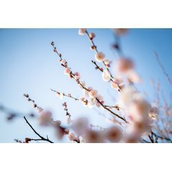 2月・3月・4月ご予約リクエストはお早めに！の画像2