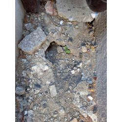 ☆埼玉県越谷市からネズミ駆除のご依頼の画像1