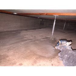 シロアリ予防の画像3