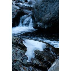 【画像あり】今年初の渓流に行ってきました。の画像2