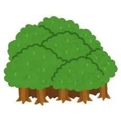 人生に行き詰まった時、聞いて欲しい話の画像1