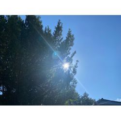 お盆に引き寄せの画像1