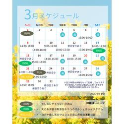 ３月の空き状況更新しましたの画像1