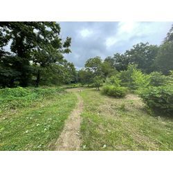 ［埼玉県秩父郡］草刈り・草むしり | 税込112,200の画像1