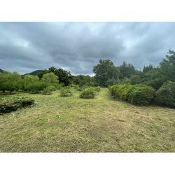 ［埼玉県秩父郡］草刈り・草むしり | 税込112,200の画像2