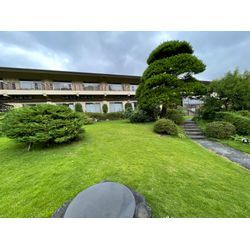 ［埼玉県秩父郡］草刈り・草むしり | 税込112,200の画像3