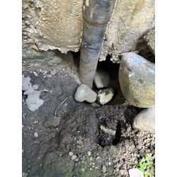 横浜市ネズミ駆除の画像1