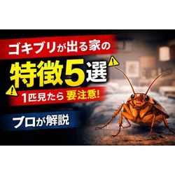 ゴキブリが出る家の特徴5選｜1匹見たら要注意（プロが解説）の画像1