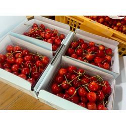 山形のさくらんぼ🍒の画像1