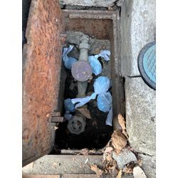 相模原ネズミ駆除の画像1