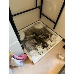 練馬区　洗濯機排水口詰まり除去！の画像1