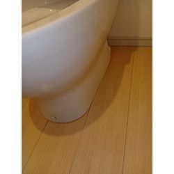トイレクリーニングの画像1