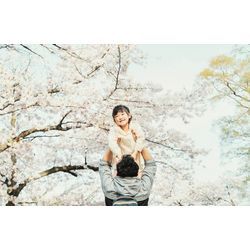 【大阪城公園で撮影させていただいた家族写真】春に桜で撮影させていただきました！の画像2