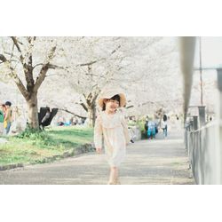 【大阪城公園で撮影させていただいた家族写真】春に桜で撮影させていただきました！の画像1
