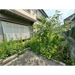 除草作業をさせて頂きました！の画像1