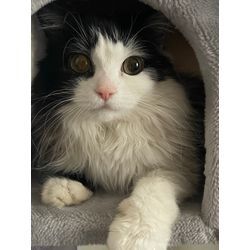 大切な「今」を残すということの画像1