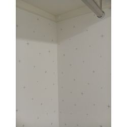 壁紙クロスのカビ除去クリーニングの画像2