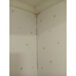 壁紙クロスのカビ除去クリーニングの画像1