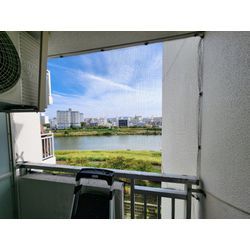 鳩ネット対策が必要なワケとは？の画像1