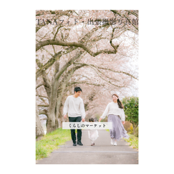 一目千本桜開花しました🌸🌸🌸の画像2