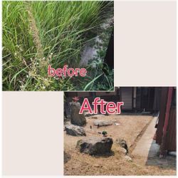 空き家敷地の草刈りの画像1