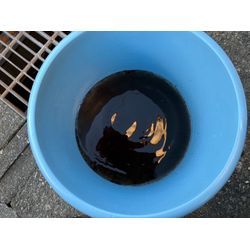 これから更に使うからこそ！の画像3