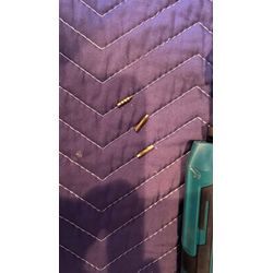 リビング開戸修理_鎌倉市｜丁番ネジ折れ・ドアノブぐらつき修正の画像2