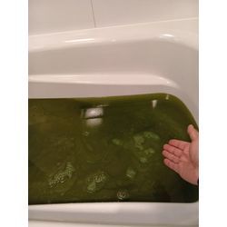 お風呂の追い焚き配管クリーニングの画像1