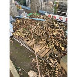 習志野市・鎌ヶ谷・千葉市エリア「落ち葉清掃」部門 でくらしのマーケットで1位をいただくことができました！の画像2