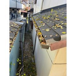 習志野市・鎌ヶ谷・千葉市エリア「落ち葉清掃」部門 でくらしのマーケットで1位をいただくことができました！の画像3