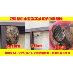 🐝◤10月もご依頼ありがとうございました！宮城・福島・山形・岩手の蜂の巣駆除は東北便利隊員にお任せください🔥◢の画像1