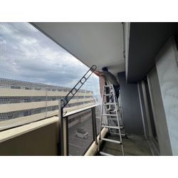 佐賀県神埼市　ハト対策の画像2