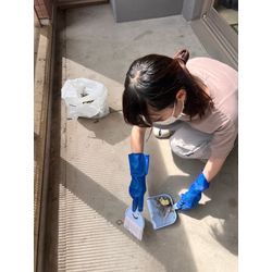 佐賀県神埼市　ハト対策の画像1