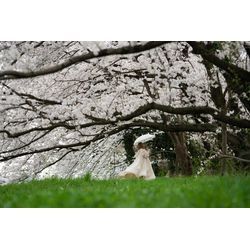 「〇〇カット」のカットの本当の意味知ってます？の画像3