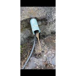 排水掃除築2年のお客様の画像3