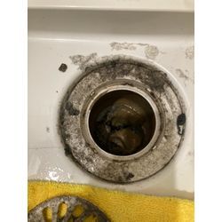 排水口の清掃についての画像1