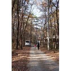 【自然との暮らし】嬬恋村の庭で学んだ、子育てと“本当の危険”の画像1