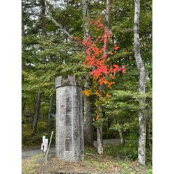 【自然との暮らし】嬬恋村の庭で学んだ、子育てと“本当の危険”の画像2