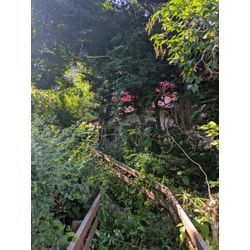 実家大事に❤️❤️の画像1