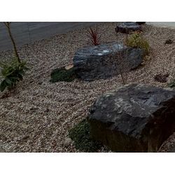 庭木の休眠期と植え替え、強剪定の画像1