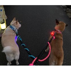 ただの散歩で泣けた理由…✨の画像2