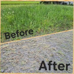 土地の草刈りの画像2