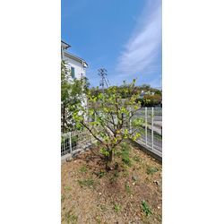 なんか良いよね(笑)の画像2