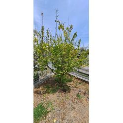 なんか良いよね(笑)の画像1