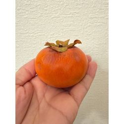 今が旬✨の画像1